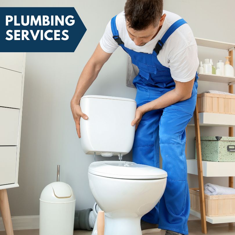 Plumbing Company in Carlton, GA